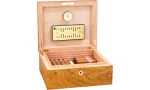 adorini Humidor Salento Oilve Burl Wood Medium Deluxe