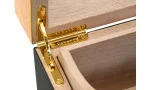Partagas Classic Global Brand Humidor 30-50 Cigars