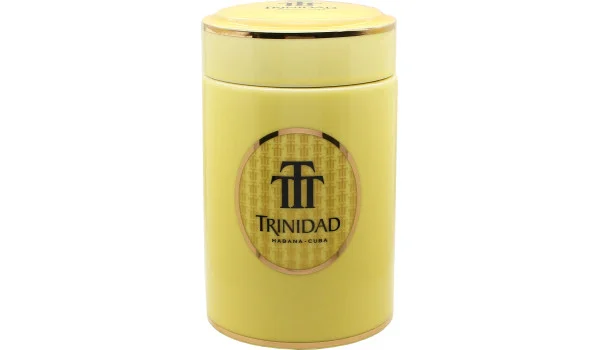 Πορσελάνινο βάζο Trinidad