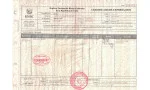  εικόνα 8